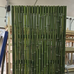 Bamboo Wall